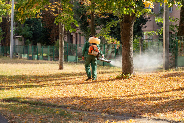 Reliable Bunker Hill Village, TX Pest Control Solutions