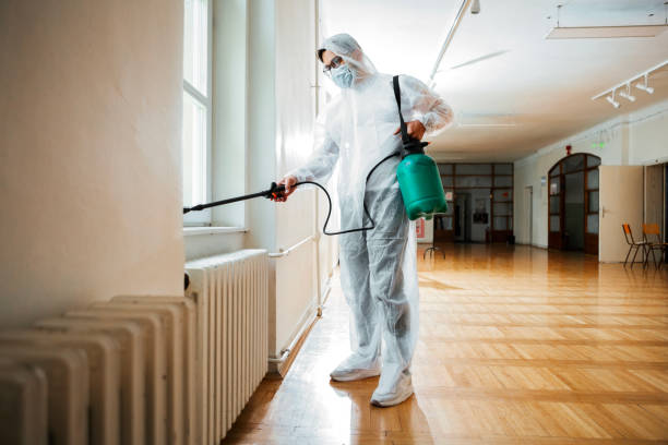Best Emergency Pest Control  in Bunker Hill Village, TX